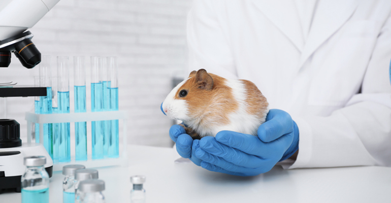 Credit: © iStock/Liudmila Chernetska